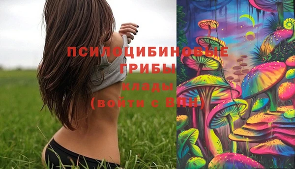 соль курить ск Надым