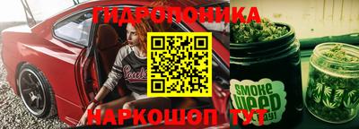 гашик Дубна