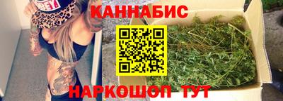 гашик Дубна