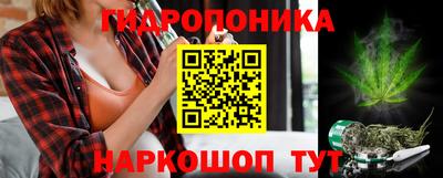 гашик Дубна