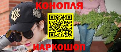 стафф Донецк
