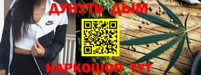 гашик Дубна