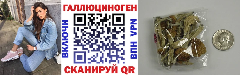 Псилоцибиновые грибы GOLDEN TEACHER  закладка  Менделеевск 