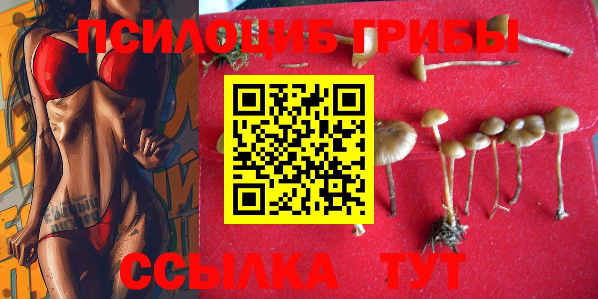 Менделеевск  Псилоцибиновые грибы ЛСД  Вход с VPN 